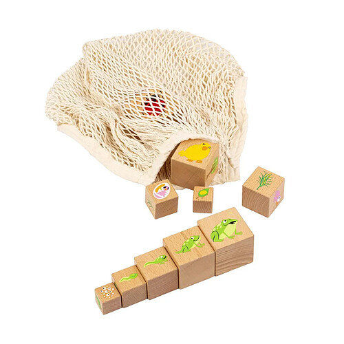 Educo Nature - Blocs de cycle de vie - bois - jeu Montessori