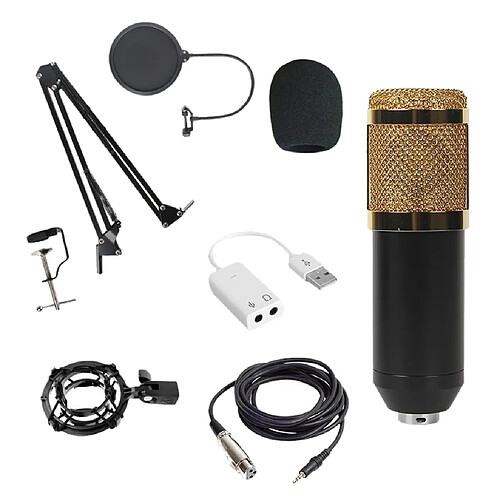 Kit Microphone à Condensateur Pour Enregistrement En Studio Golden B Avec Carte Son