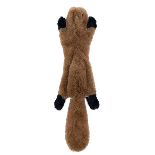 Chien Jouets grinçants Pas de peluche Peluche Mâcher Jouet pour chien Chiot Animal Raton laveur Écureuil Renard Mouffette Mignon Animal Jouets Pour Petits Chiens Moyens