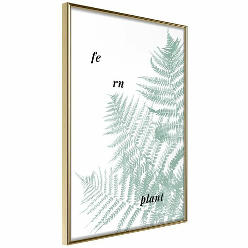 Paris Prix Affiche Murale Encadrée Pale Green Fern 30 x 45 cm Or