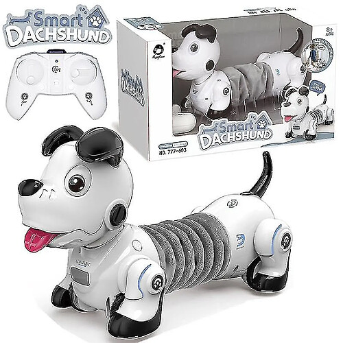 Universal Programmable 2.4g Télécommande sans fil de chien intelligent pour enfants