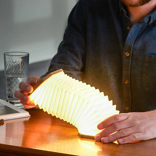 Lampe Smart Accordion