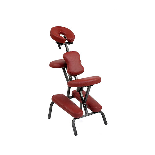 Bcelec Chaise de massage et tatouage pliante et portable couleur bordeaux + sac de transport