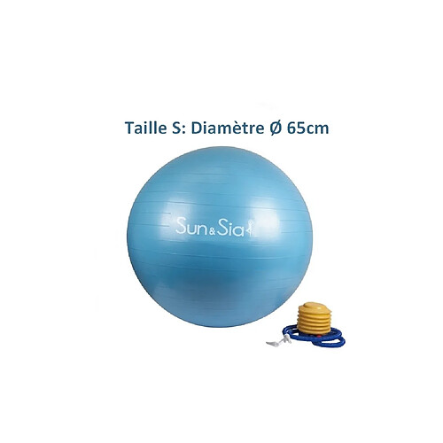 Ac-Deco Ballon de Fitness - D 65 cm - Bleu