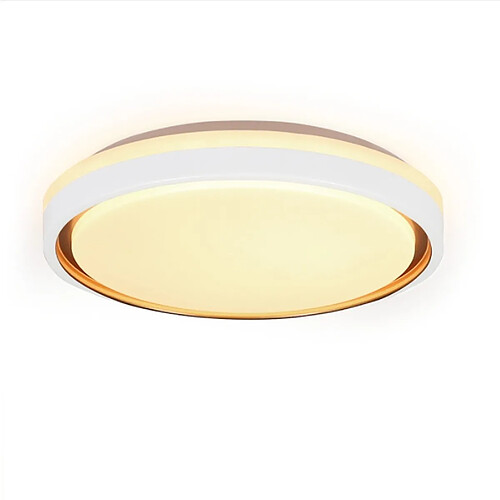 Autres Temps ZMH LED Ceiling Light Living Room Ø30CM Dimmable Remote Control Modern Ceiling Light Corridor