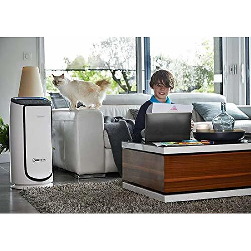 Rowenta Purificateur d'Air Intense Pure Air Connect jusqu’à 140 m² blanc noir