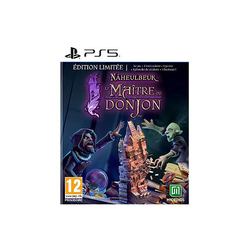 Microids Le Maître du DonJon de Naheulbeuk Edition Limitée PS5