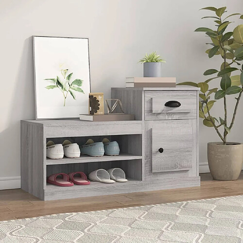 vidaXL Armoire à chaussures sonoma gris 100x42x60 cm bois d'ingénierie