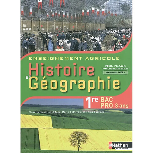 Histoire et géographie, 1re bac pro 3 ans : enseignement agricole : nouveaux programmes module MG1, objectif 3 · Occasion