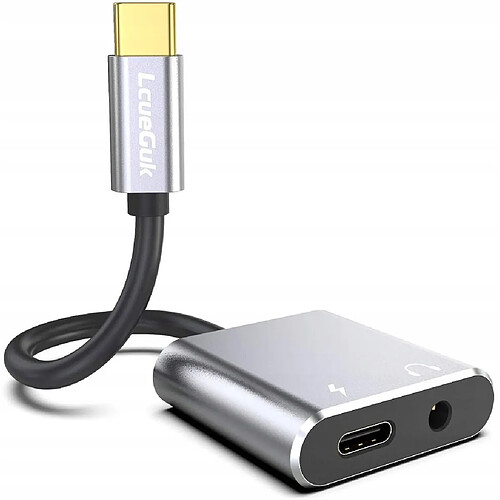 GUPBOO Adaptateur 2 en 1 USB-C -> USB-C + AUX,JL843