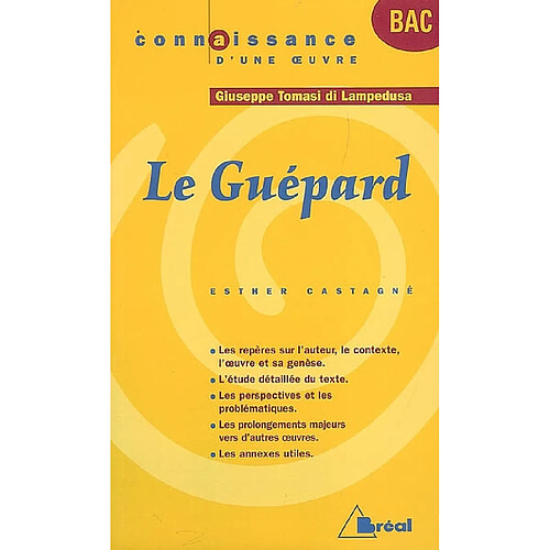 Le guépard, Giuseppe Tomasi di Lampedusa · Occasion