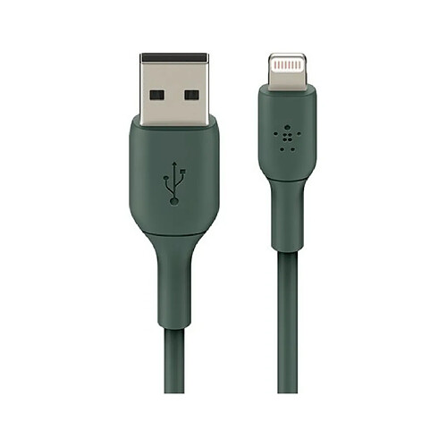 Belkin Câble USB CAA001BT1MMG