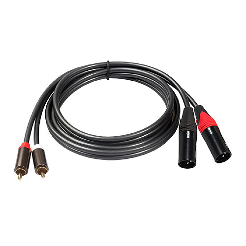 Câble Double XLR vers RCA