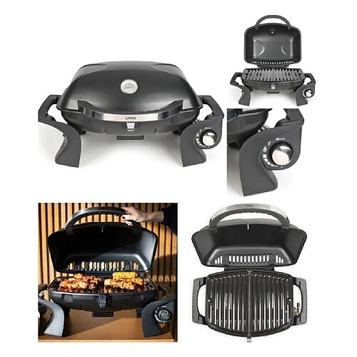 Livoo Barbecue à gaz portable grille émaillée amovible de 50 x 37,5cm Allumage électrique intégré Brûleurs en acier inoxydable