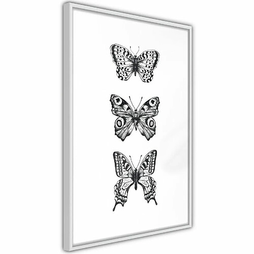 Paris Prix Affiche Murale Encadrée Butterfly Collection III 20 x 30 cm Blanc