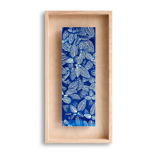 Swabdesign Cadre Carpë cyanotype Fittonia 40x20cm