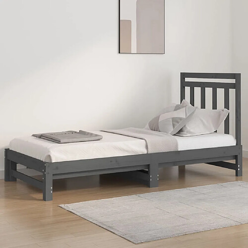 vidaXL Lit coulissant sans matelas gris 2x(90x200) cm