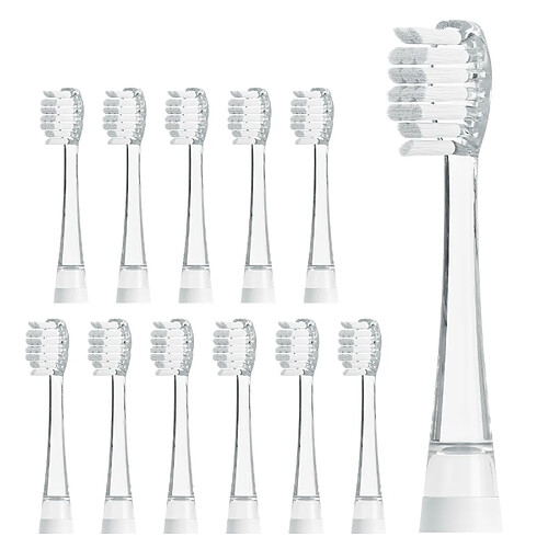 Ailoria BUBBLE BRUSH Têtes de brosse - lot de 12