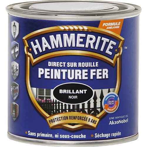 Peinture Fer Direct sur rouille Mat - Noir - 250 ml - HAMMERITE