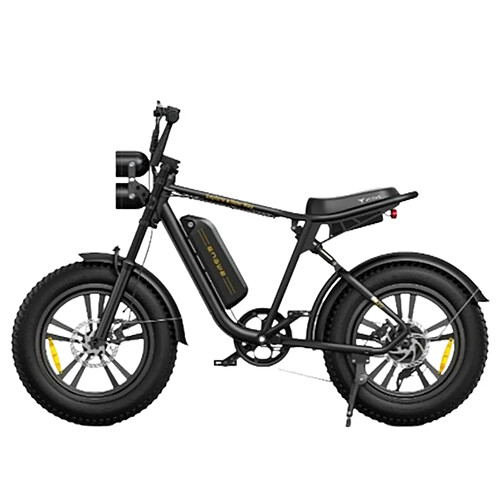 Engwe M20 Vélo électrique pour Adultes 750 W 48V 13Ah Fat Ebike tout suspendu - Noir