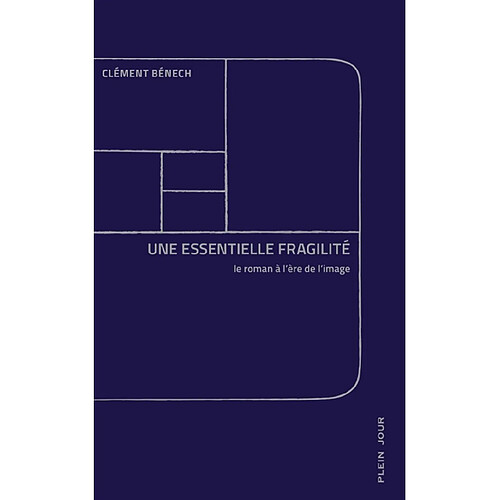 Une essentielle fragilité : le roman à l'ère de l'image · Occasion