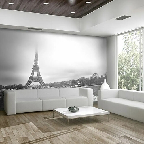 Paris Prix Papier Peint Paris : Tour Eiffel 231 x 300 cm