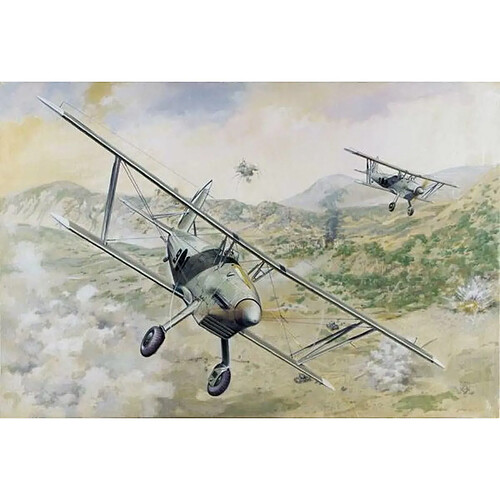 Arado Ar 68E - 1:48e - Roden