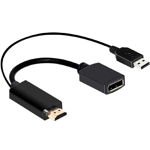 Universal Adaptateur adaptateur HDMI mâle à DP Display Port alimenté par USB 4K | Câble HDMI