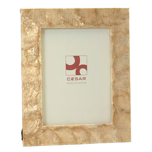 Cadre photo Alexandra House Living Marron Nacre noire 22 X 1 X 27 CM