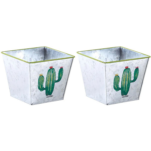 Aubry Gaspard Corbeille carré en métal galvanisé Cactus (Lot de 2).