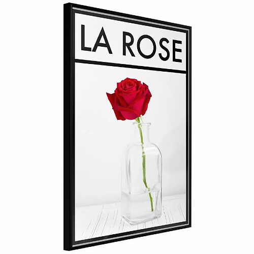 Paris Prix Affiche Murale Encadrée Rose in the Vase 20 x 30 cm Noir