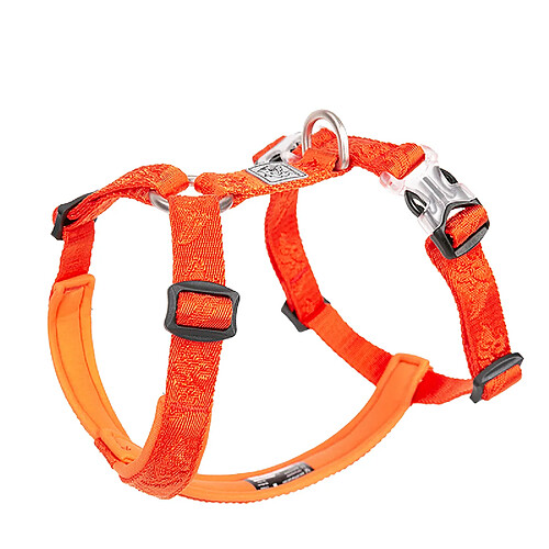 Universal Collier de chien en nylon de créateur et mollusque de reflet de chien de serrure en nylon pour chien de serrure lait de pit | harnais (orange)