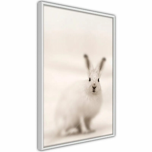 Paris Prix Affiche Murale Encadrée Curious Rabbit 40 x 60 cm Blanc