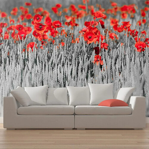 Paris Prix Papier Peint Coquelicots Rouge sur Champ Noir & Blanc 270x450cm