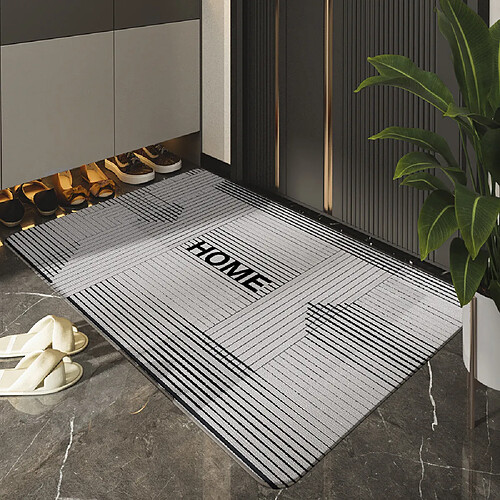 LUUCOZK Tapis de porte d'entrée antidérapants pour entrée intérieure, couleur 4-80x120cm