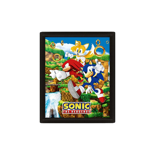 Pyramid International Sonic The Hedgehog - Poster effet 3D Catching Rings 26 x 20 cm