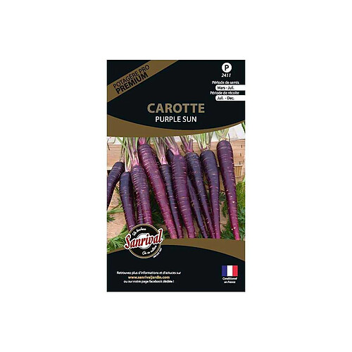 Sanrival Graines potagères premium carotte Purple sun