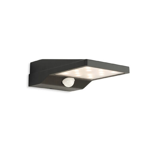 Luminaire Center Applique murale extérieur Cyrus Graphite