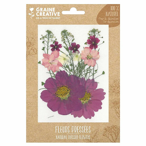 Graines Creatives 14 fleurs pressées - prairie parme