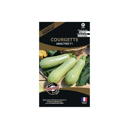 Sanrival Graines potagères premium courgette Blanche massue Amalthee