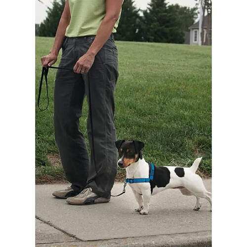 EASY WALK Harnais Deluxe S - Bleu Océan - Pour chien