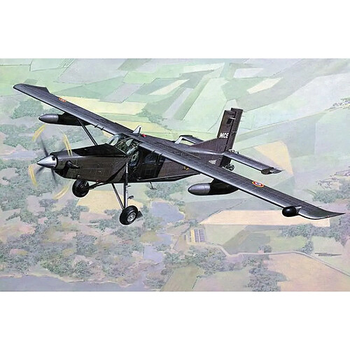 Pilatus PC-6 B2/H4 Turbo Porter - 1:48e - Roden