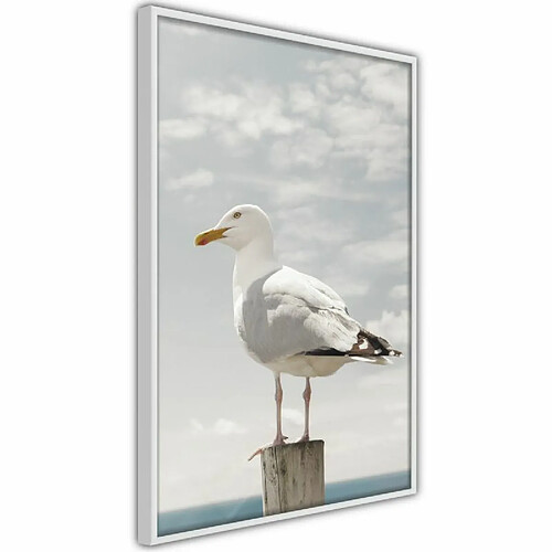 Paris Prix Affiche Murale Encadrée Curious Seagull 40 x 60 cm Blanc