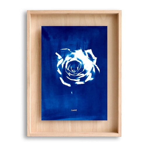 Swabdesign Cadre Carpë cyanotype Rose 40x30cm