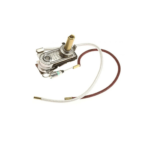 Polti Thermostat de fer + fusible thermique