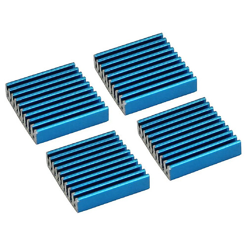 Ailettes de refroidissement auto-adhésives InLine® RAM Heat Sink 4pcs.