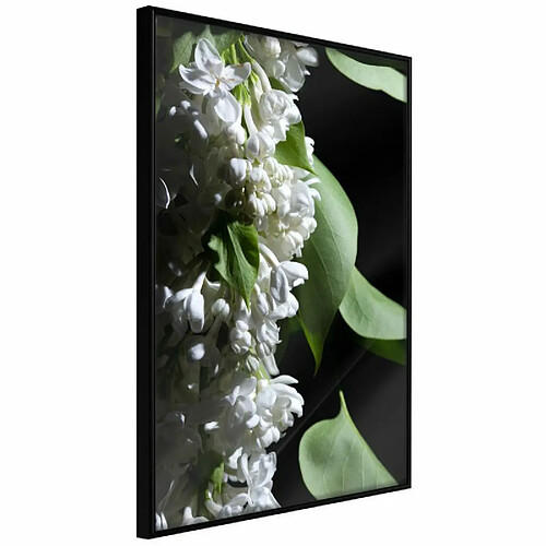 Paris Prix Affiche Murale Encadrée Fragrant Spring 30 x 45 cm Noir