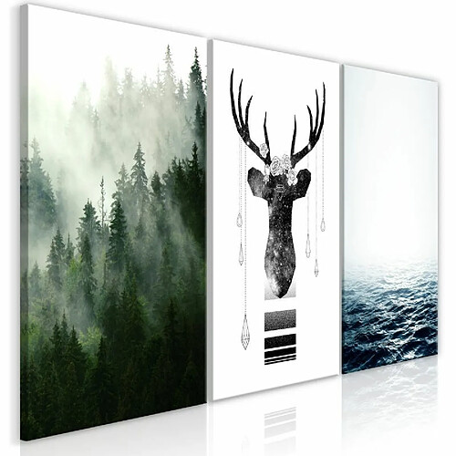 Paris Prix Tableau Imprimé Chilly Nature Collection 30 x 60 cm