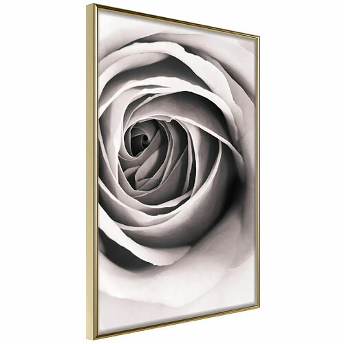 Paris Prix Affiche Murale Encadrée Structure of Petals 30 x 45 cm Or