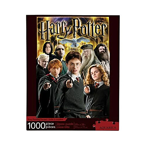 AQUARIUS Harry Potter Puzzle character collage (Puzzle 1000 piAces) - Marchandises et objets de collection Harry Potter sous licence officielle - Sans Ablouissement - Ajustement prAcis -20x28in